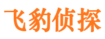 钟祥市私人侦探